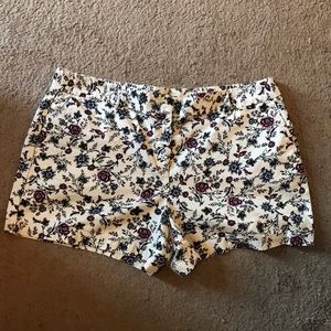 Ann Taylor Loft Shorts